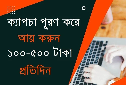 captcha entry work with daily payout